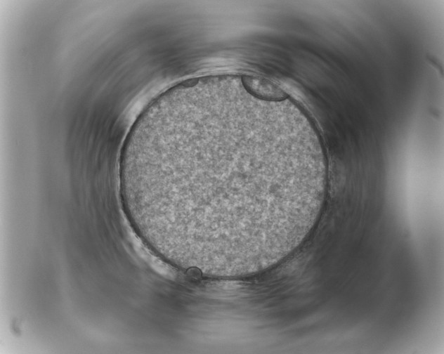 X0000102461431200808291532