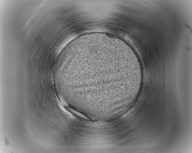 X0000102461433200808291532