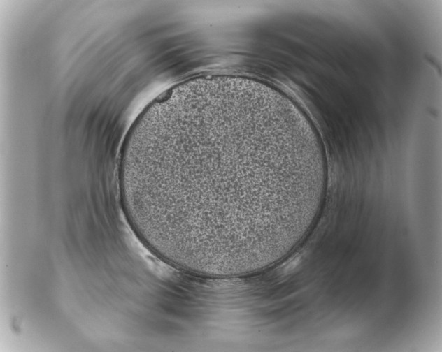 X0000102461434200808291532