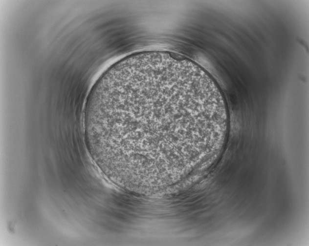 X0000102461436200808291533