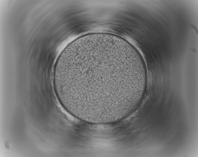 X0000102461437200808291533