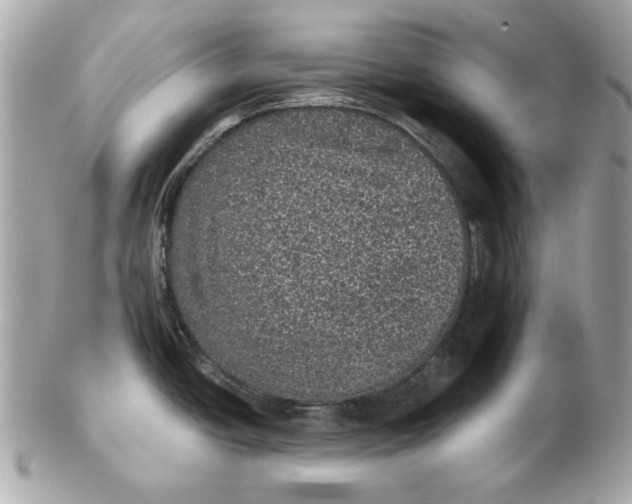 X0000102461438200808291533