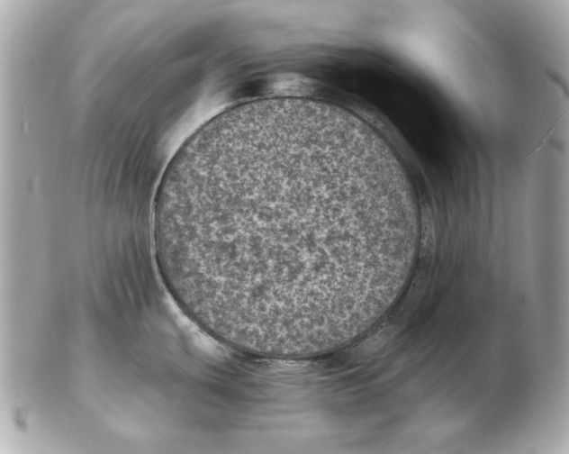 X0000102461439200808291533