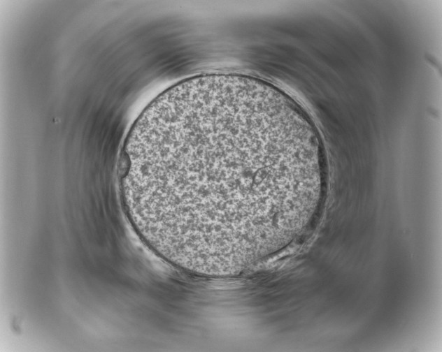 X0000102461440200808291533