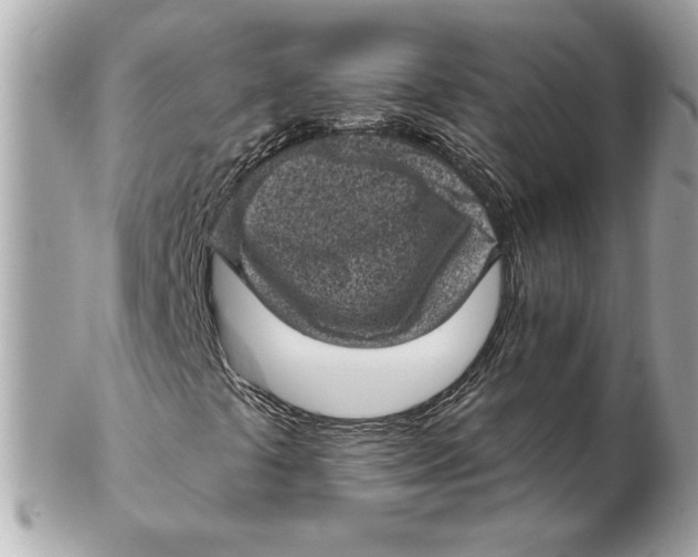 X0000102461441200808291532