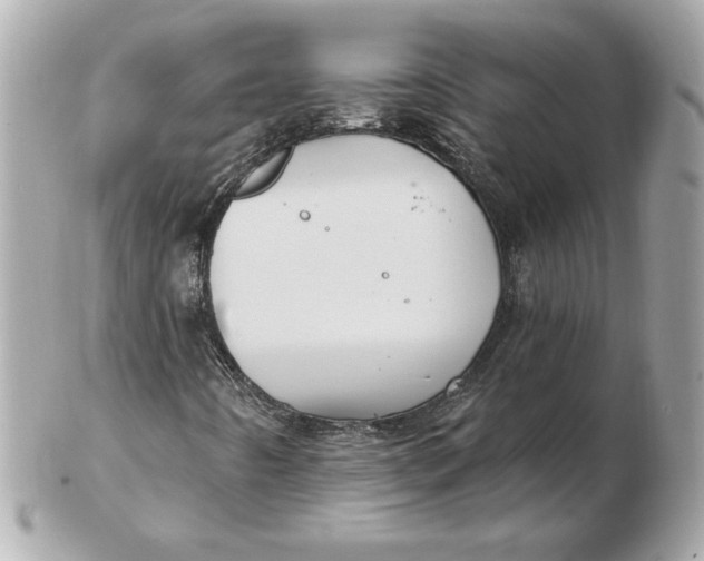 X0000102461442200808291532