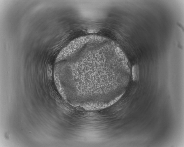 X0000102461443200808291532