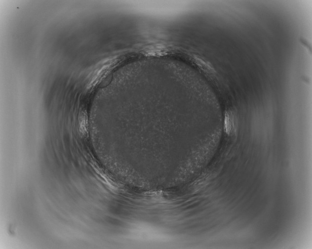 X0000102461444200808291532