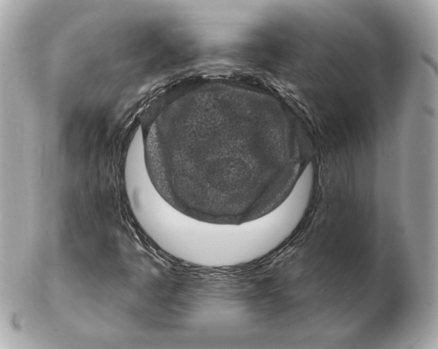 X0000102461445200808291532