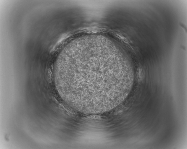 X0000102461446200808291532