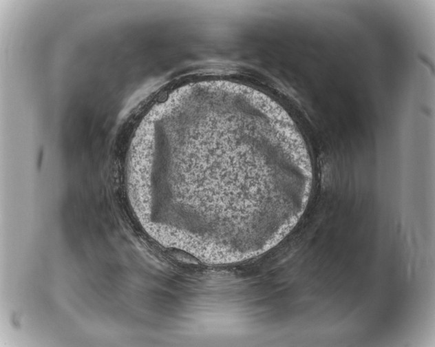 X0000102461448200808291532