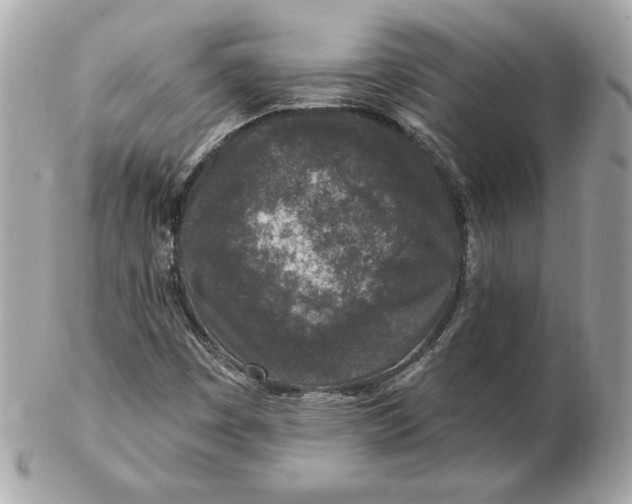 X0000102461449200808291532