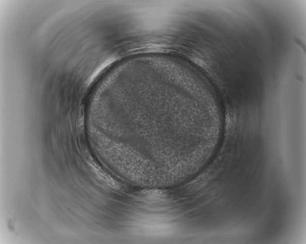 X0000102461450200808291532