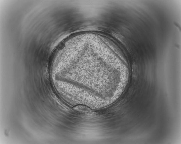 X0000102461452200808291532