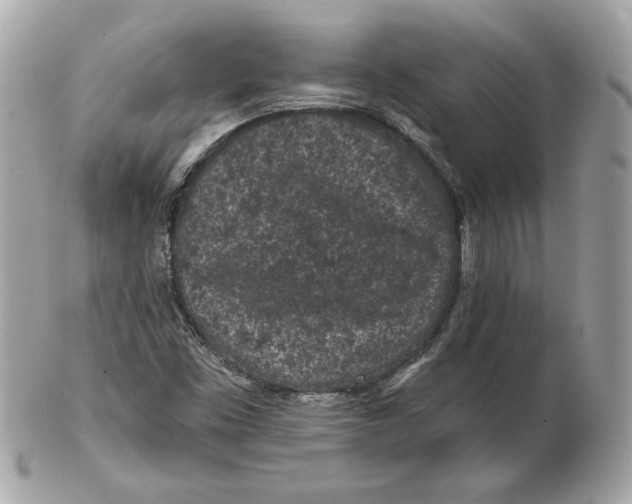 X0000102461453200808291532