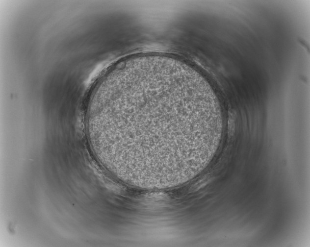 X0000102461454200808291532