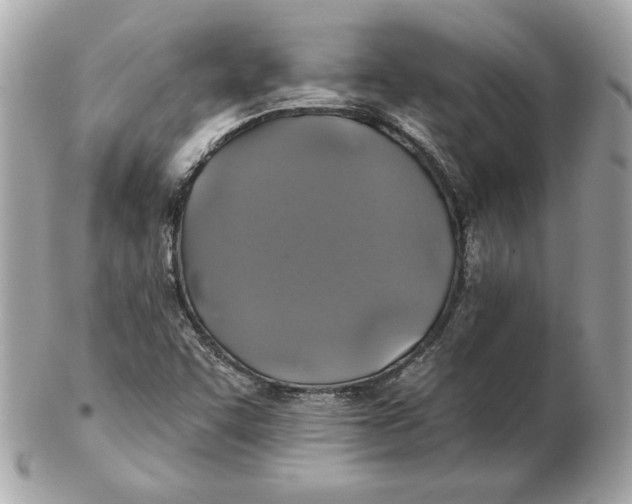 X0000102461455200808291532