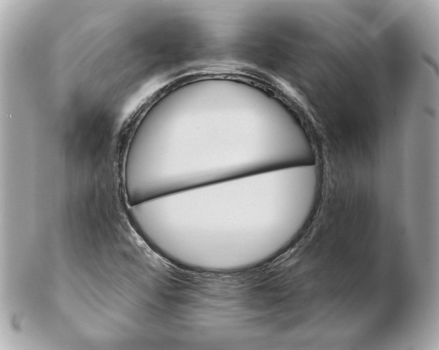 X0000102461456200808291532