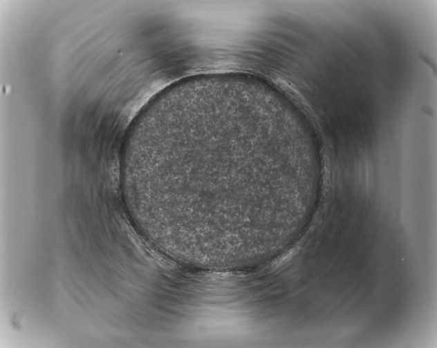 X0000102461457200808291532