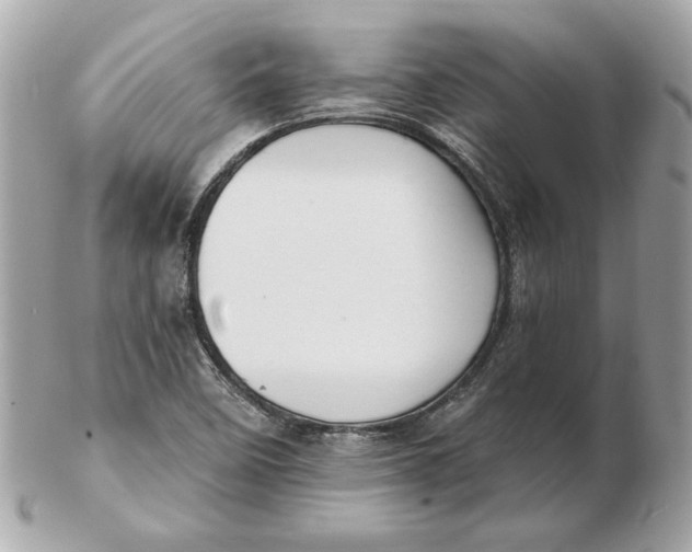 X0000102461458200808291532