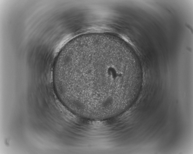 X0000102461459200808291532