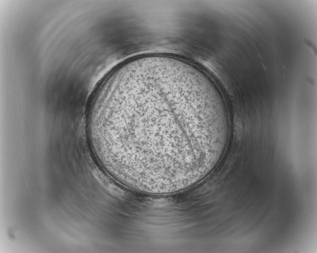 X0000102461460200808291532