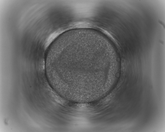 X0000102461461200808291532