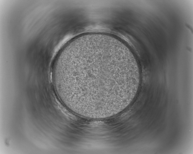 X0000102461462200808291532