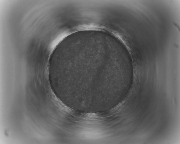 X0000102461463200808291532