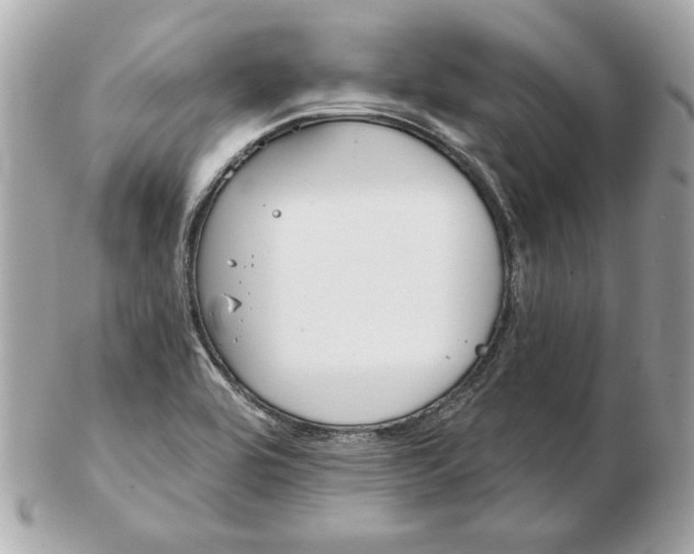 X0000102461464200808291532