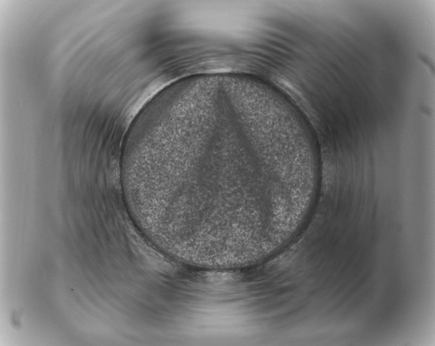 X0000102461465200808291532