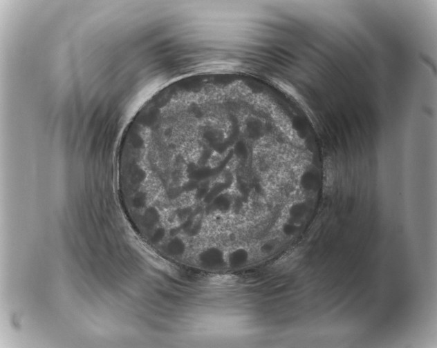 X0000102461467200808291532