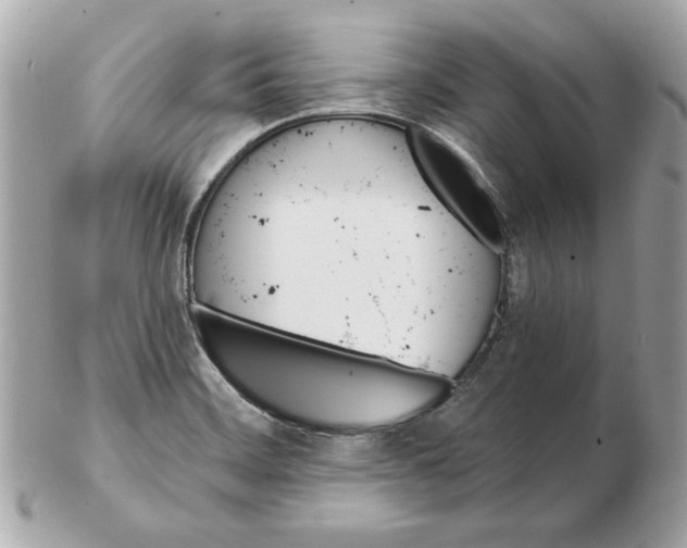 X0000102461468200808291532