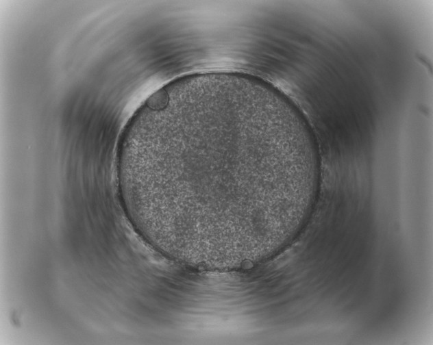 X0000102461469200808291532