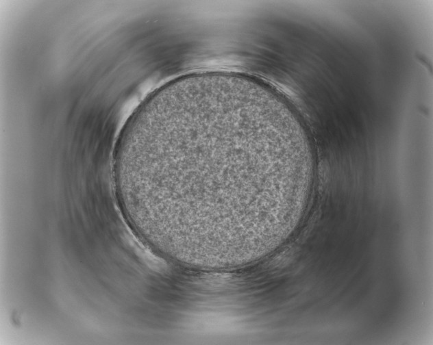 X0000102461470200808291532