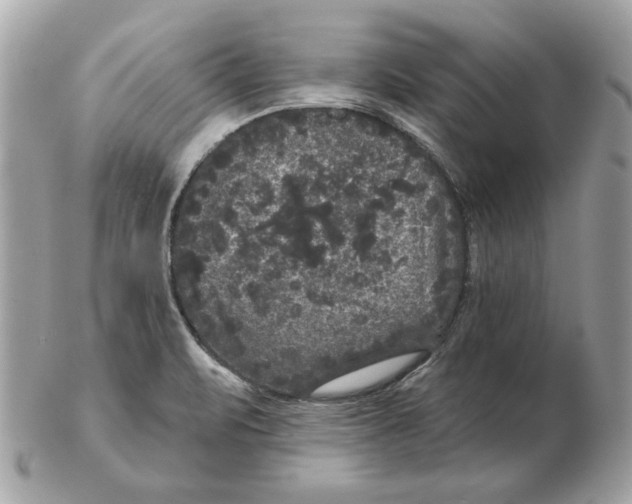 X0000102461471200808291531