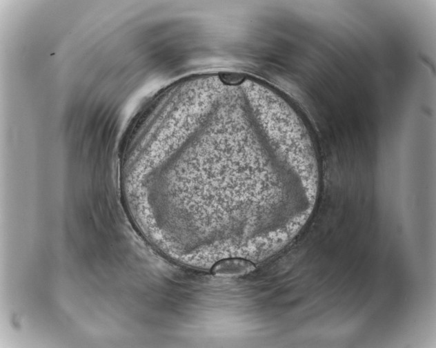 X0000102461472200808291531