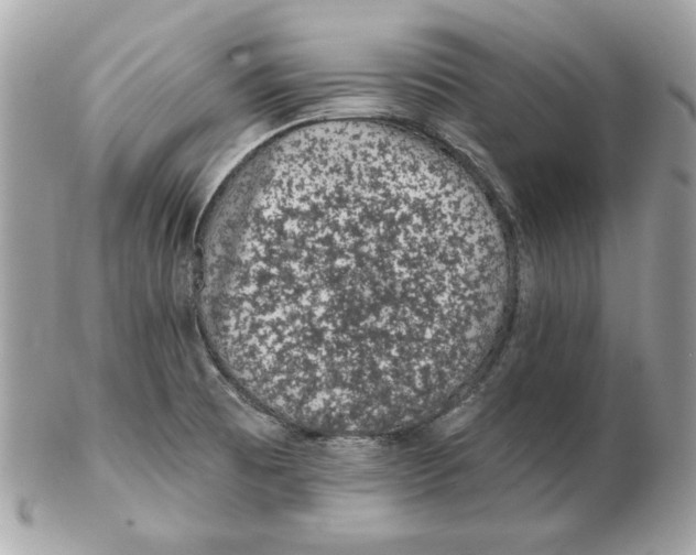 X0000102461473200808291531