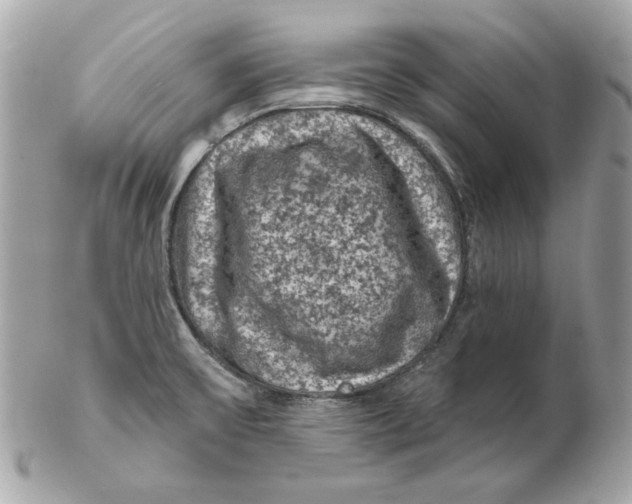 X0000102461475200808291531