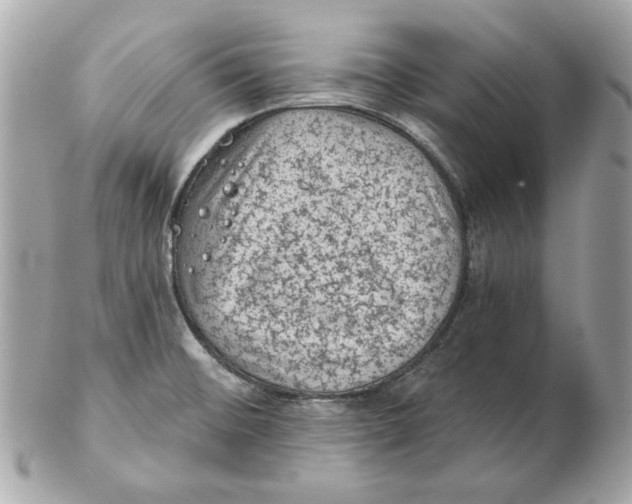 X0000102461476200808291531