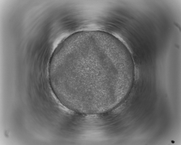 X0000102461477200808291531