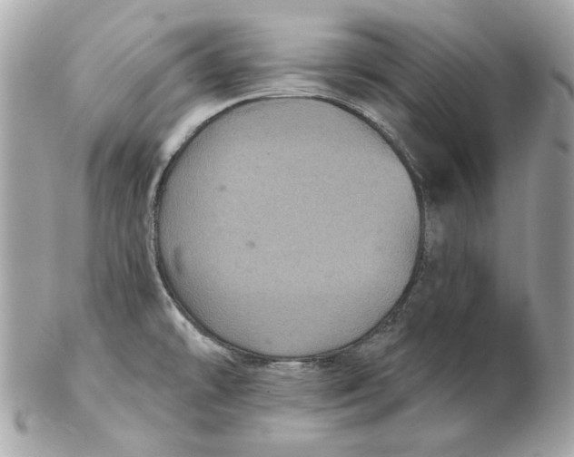 X0000102461478200808291531