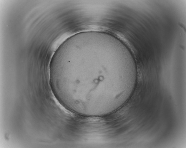 X0000102461479200808291531