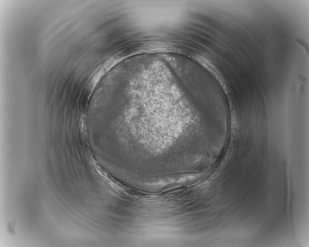 X0000102461481200808291531