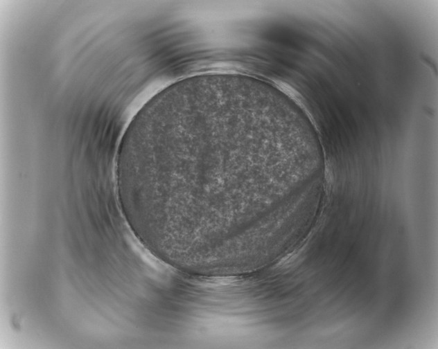 X0000102461482200808291531