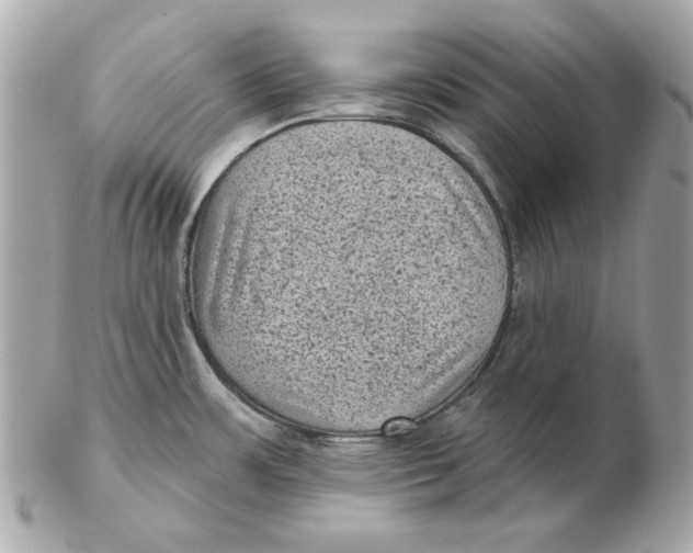 X0000102461483200808291531