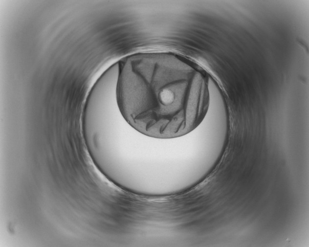 X0000102461484200808291531