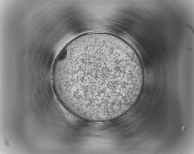 X0000102461485200808291531