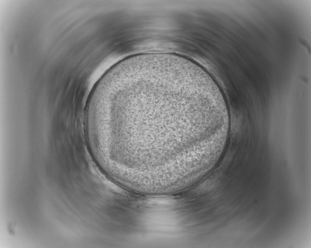 X0000102461486200808291531