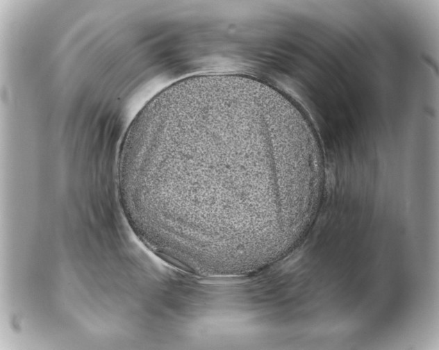 X0000102461487200808291531